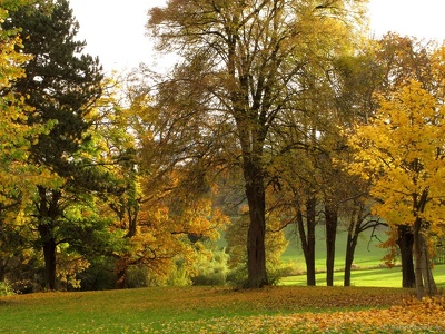 der Park im Gutshof Hoof