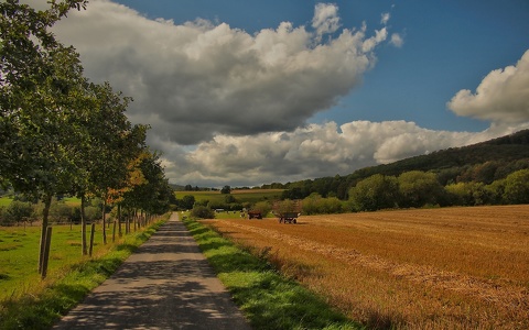 Herbstzeit