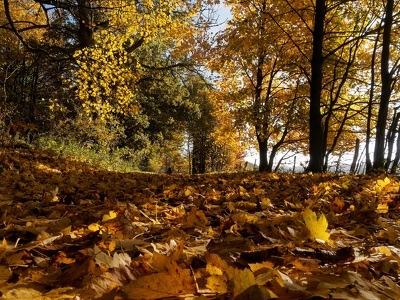 herbstliches