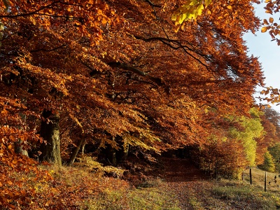 bunter Herbst