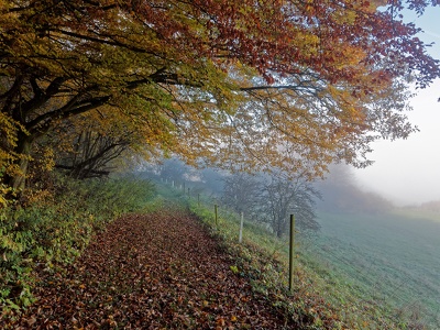 Hertbstnebel