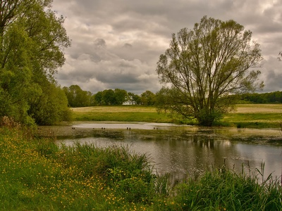 der kleine Teich...