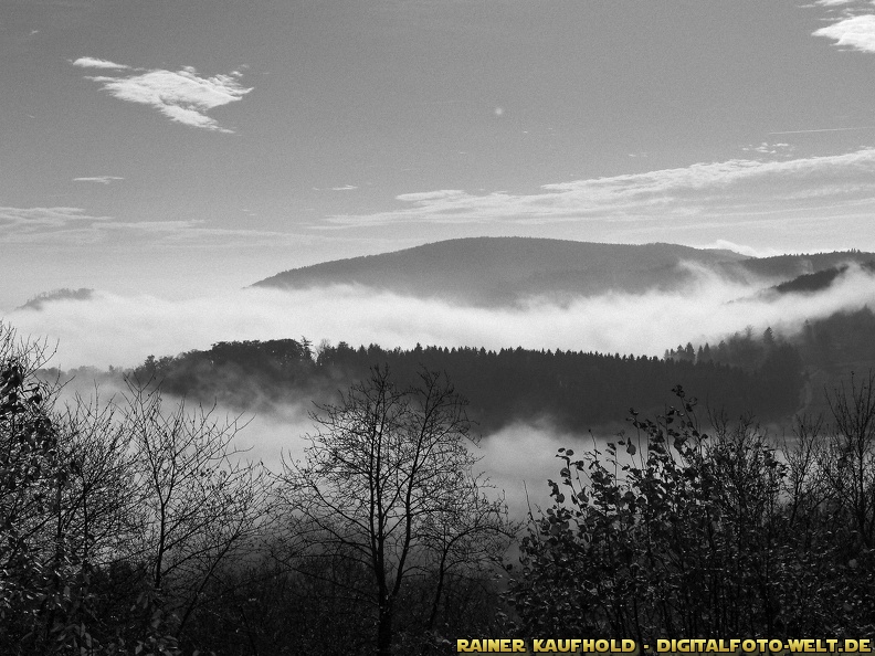 OLY45868-1920_DxO10_DxOFP_1920.jpg